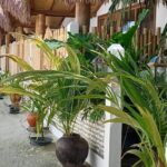 Muraka Dhigurah
