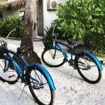 Bicycle Renting