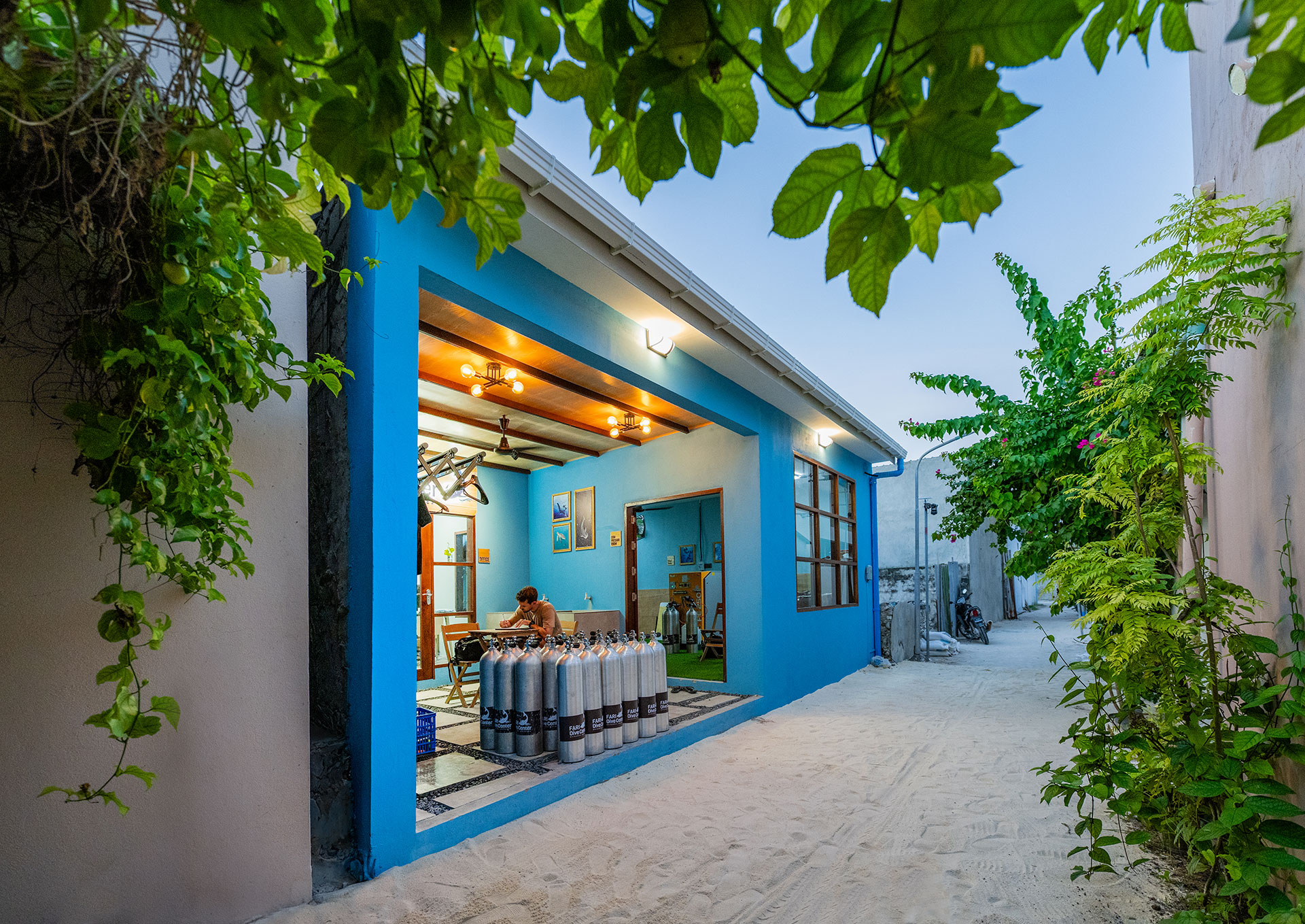 Fari Dive Life Hero Image