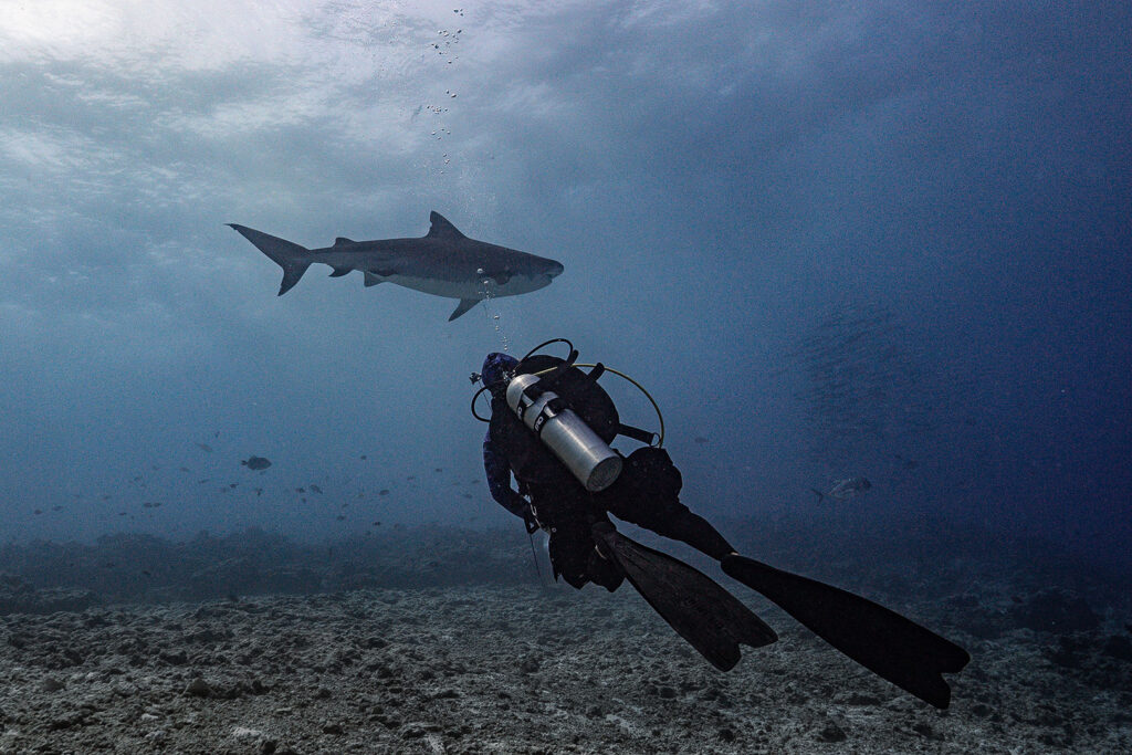 Maldives Twin Atoll Dive
