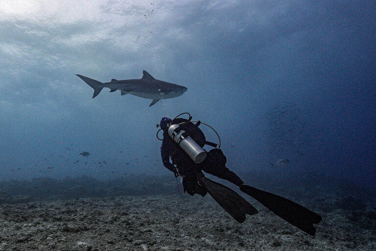 Maldives Twin Atoll Dive
