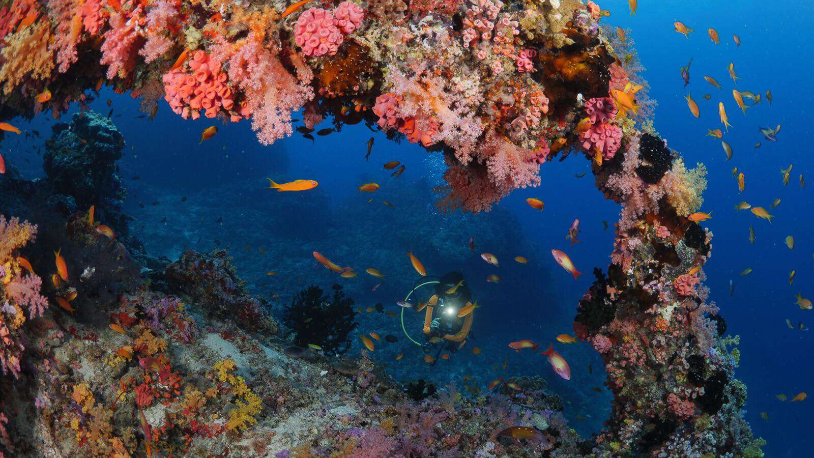 4. Thinfushi Thila