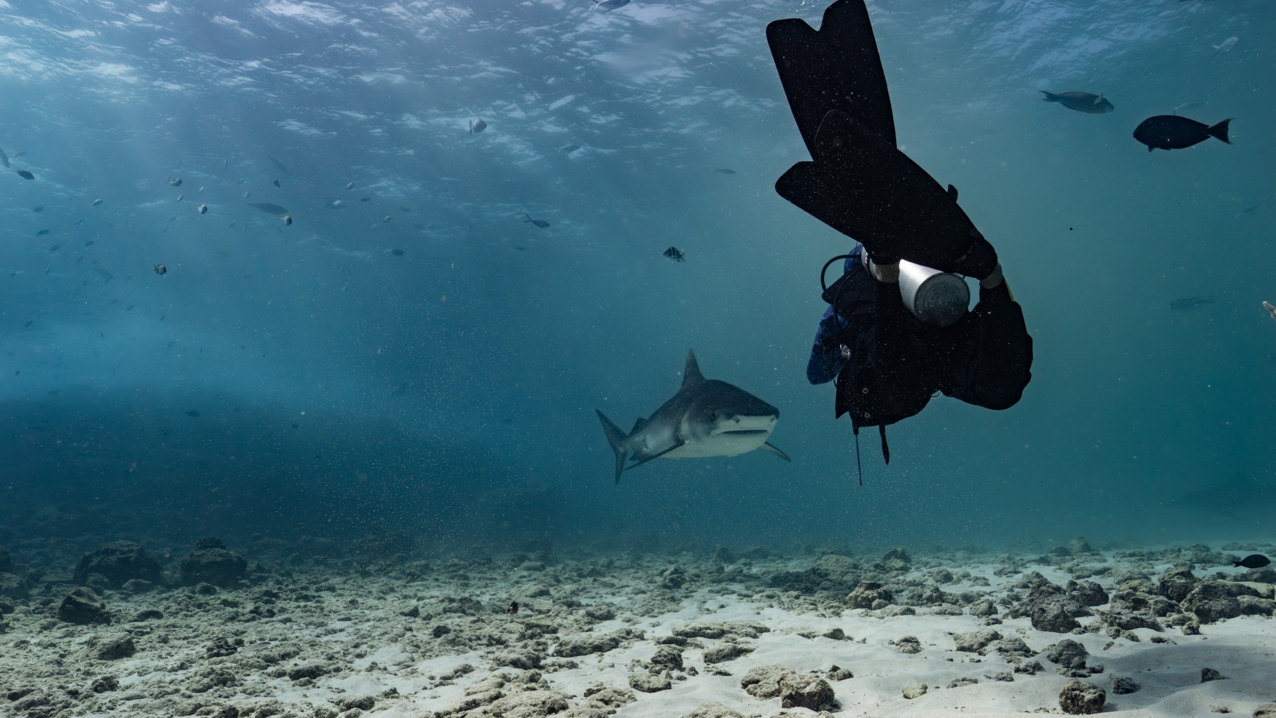 Ultimate package Fuvahmulah