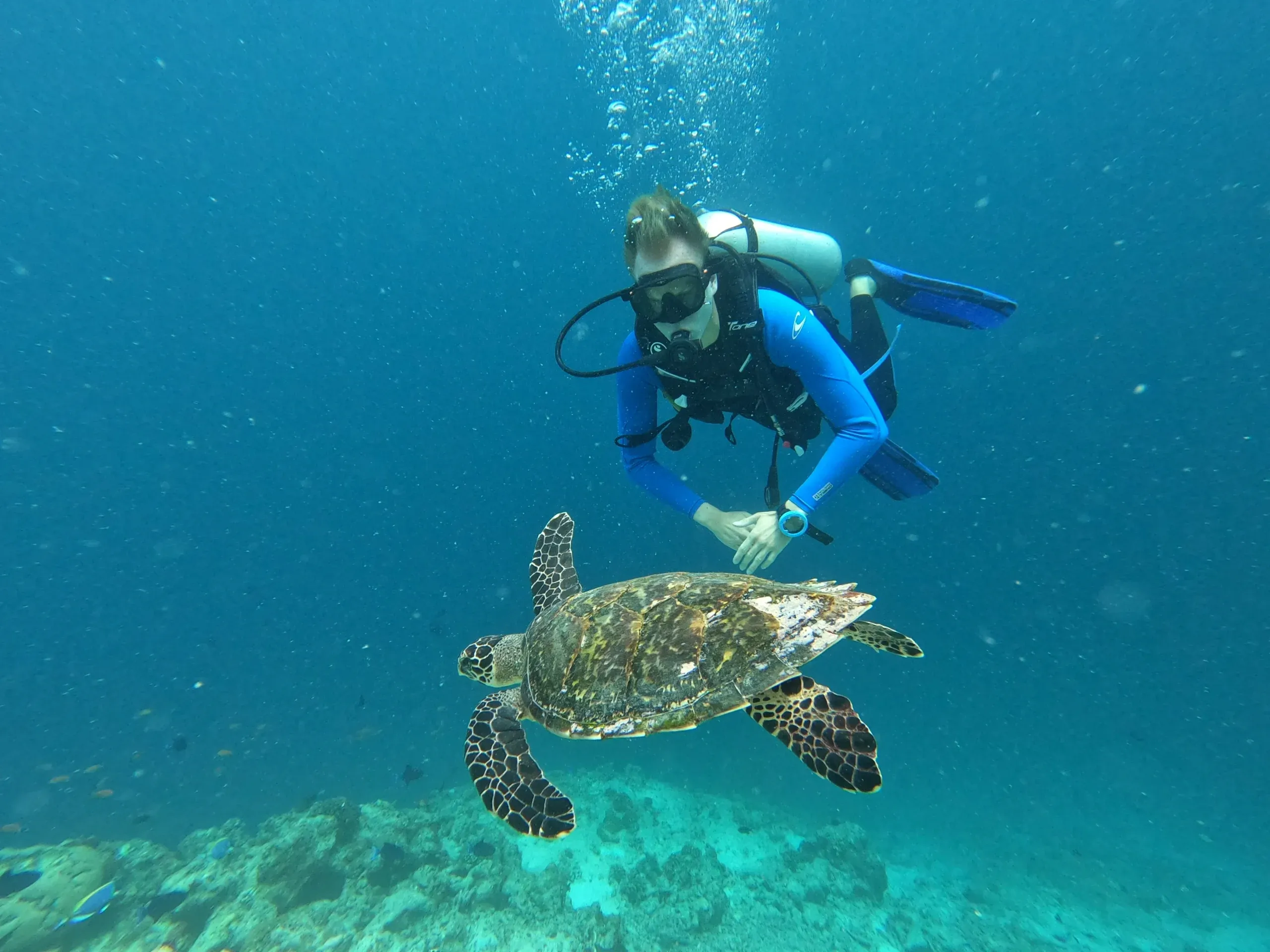 The Essential Dive and Travel Checklist for the Maldives