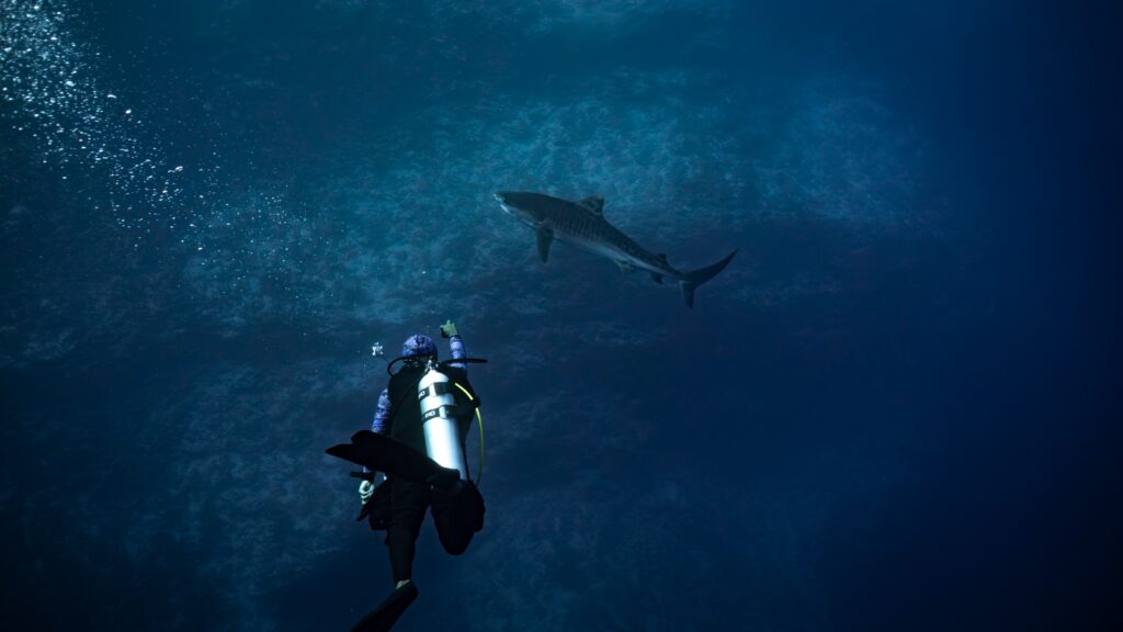 Pelagic Magic Week