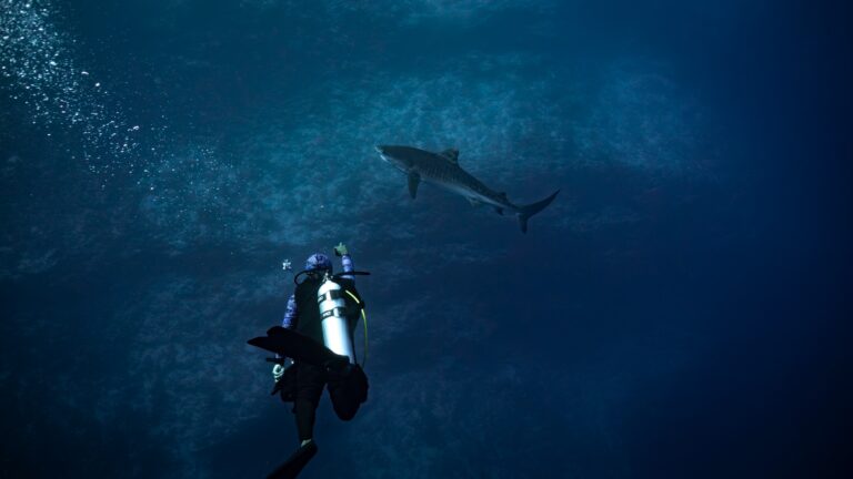 Pelagic Magic Week
