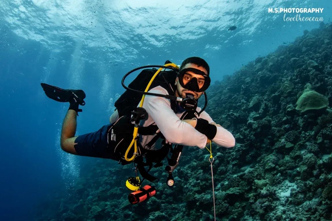 Guide to Maldives’ Whale Shark Paradise