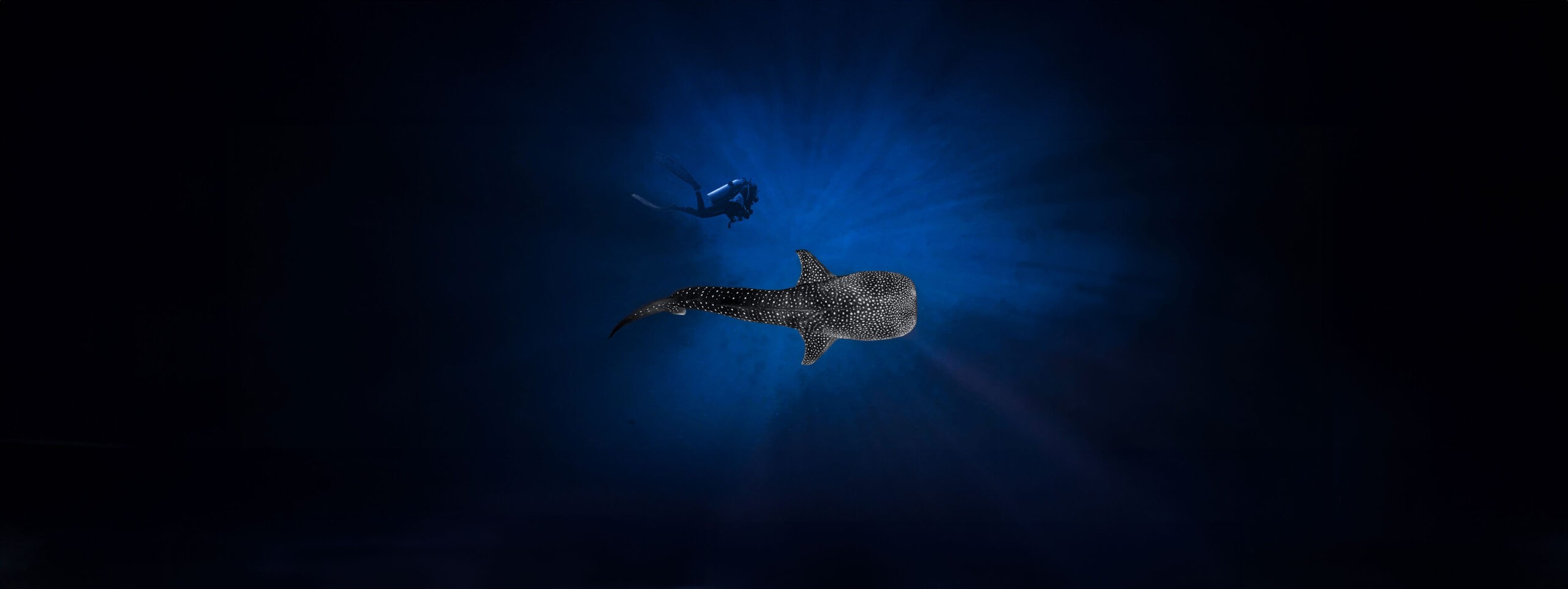 Discover Dhigurah Island